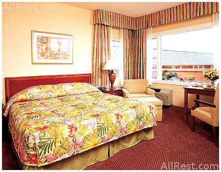 Nassau Palm Resort 3